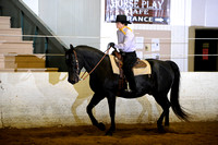79 - Combination Pleasure Saddle Horse, Western/English OTAB