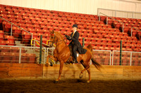 159 - ASB 3-Gaited Open Stake
