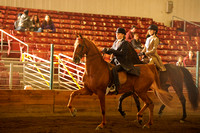 165 - ASB 3-Gaited Country Pleasure Stake