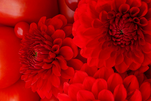 Monochrome Red in Flowers and Fruit