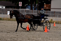 Classes 119 & 120 - Carriage Pleasure Driving Obstacles OTAB